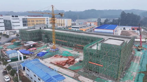 筑牢產業(yè)高地 搶跑低氘新賽——重慶小氫炮飲品項目沖刺首季“開門紅”